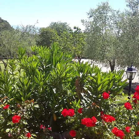 Prázdninový dům Sole Civita Castellana